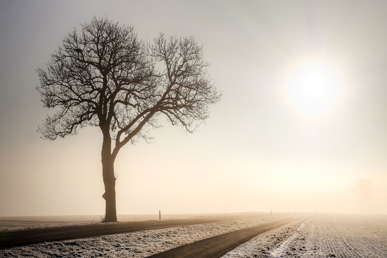 The Importance of Frequent Stops During Long Trips